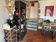 Pappagiannades Ostkreta, Pappagiannades: Traditionelles Steinhaus mit großem Garten voller Olivenbäume zu verkaufen Haus kaufen